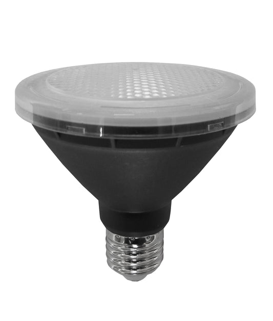 PAR30 LED Globe (10W)