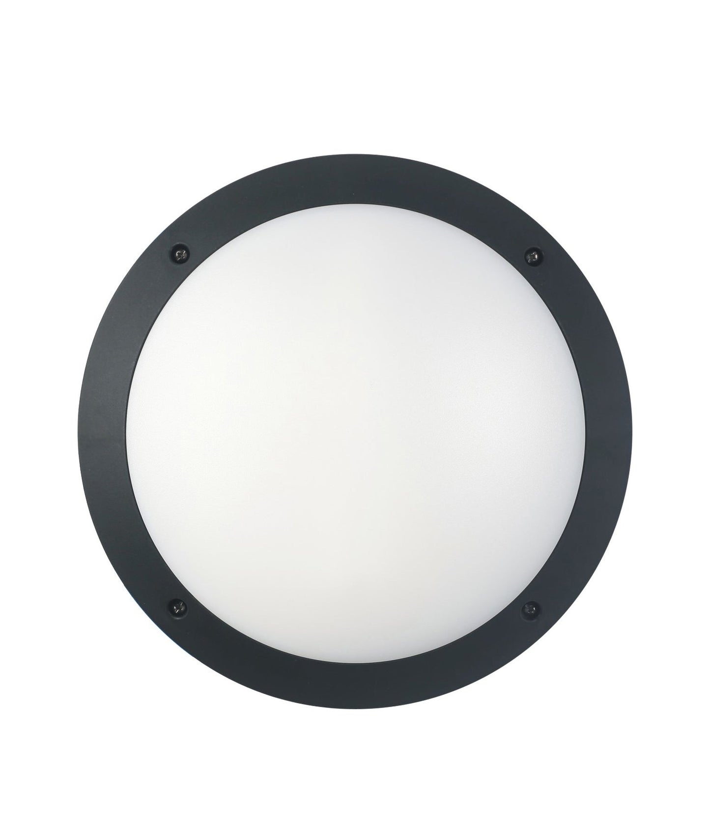 BULK: Round LED Bulkhead Lights IP66 IK10