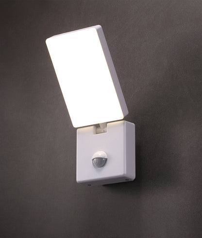 SEC: Surface Mounted LED Security Lights with Sensors IP65